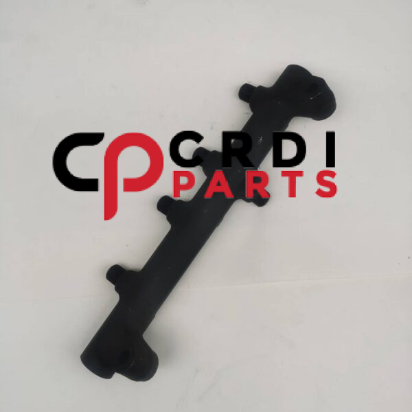 Common Injection Rail D20DT R9144Z090A A6640700195 FOR SSANGYONG KYRON