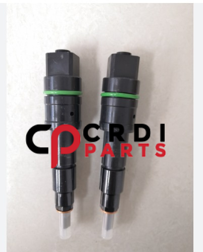 Common Rail Fuel Injector for Weichai Wp13 Marine Engine  612700090013