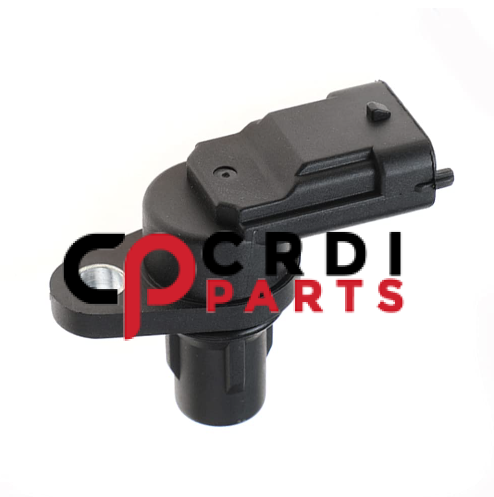 Camshaft Position Sensor 1002050CAT For JMC